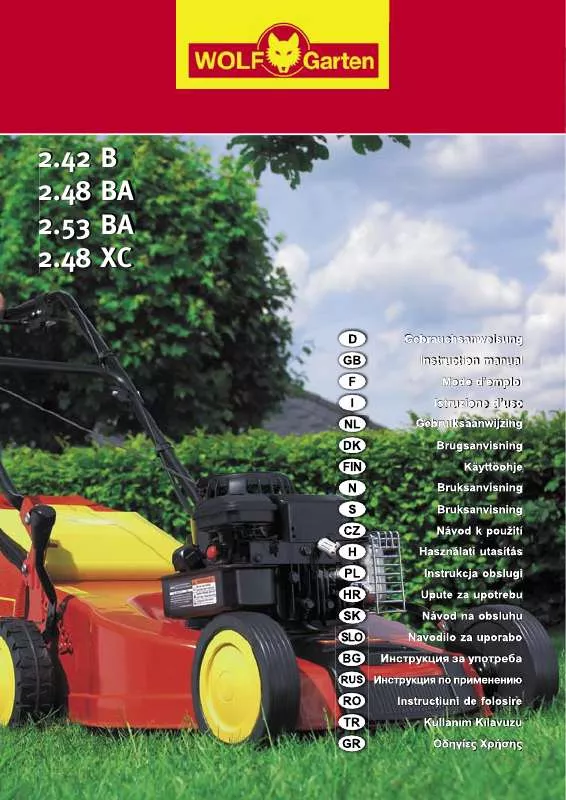 Mode d'emploi BRIGGS & STRATTON 2.48 BA