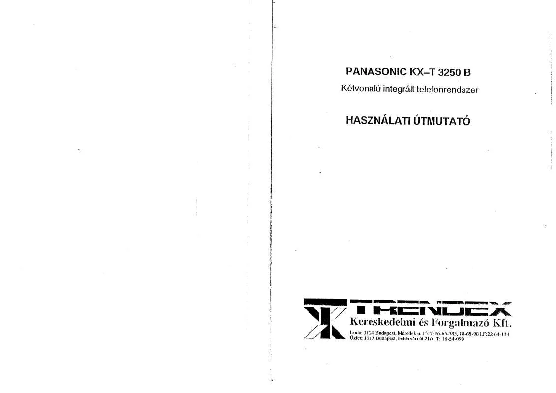 Mode d'emploi PANASONIC KX-T3250B